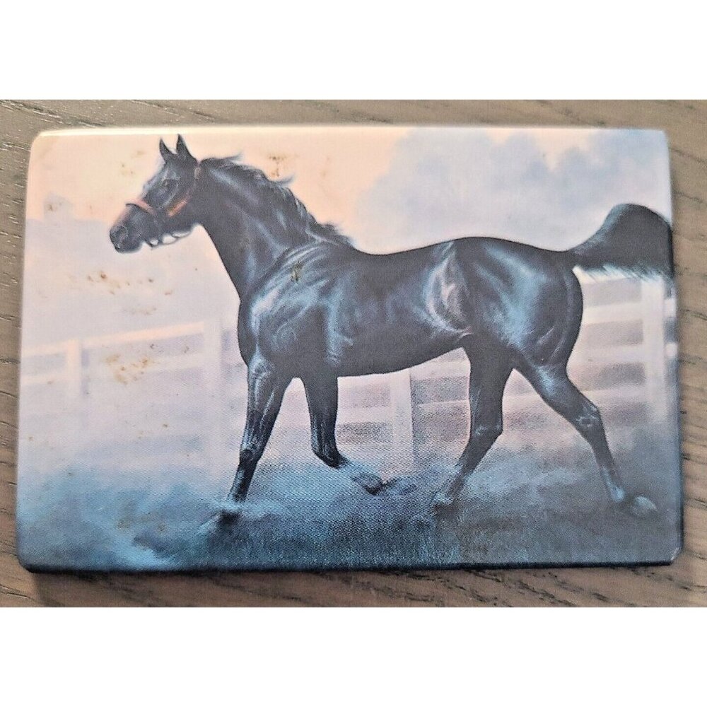Chuck Dehaan Kentucky Blue Art Refrigerator Magnet